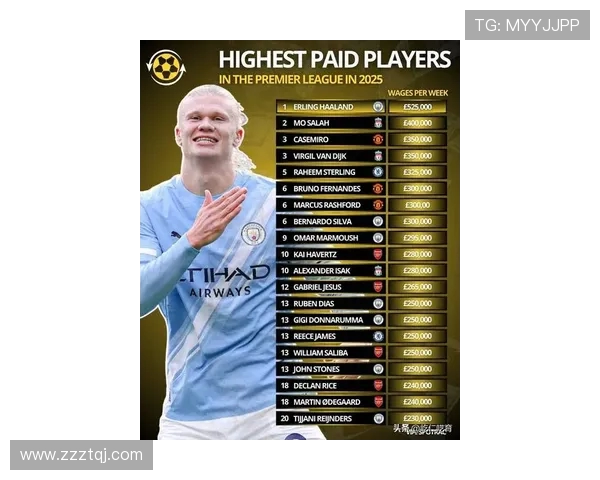 2025赛季德甲球队最新身价排行榜及市场变化趋势